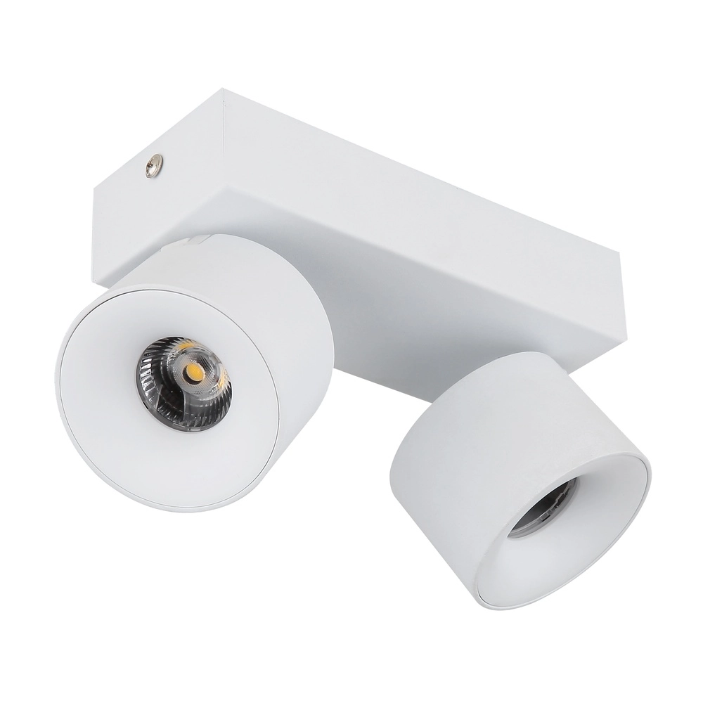 Sleek ceiling lamp Rae 2-light white Globo 9007371450640