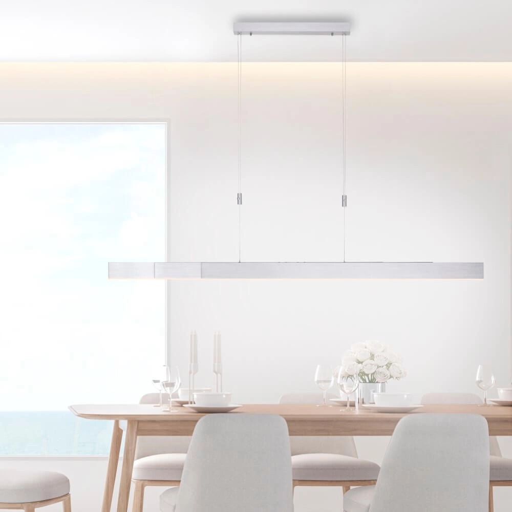 LED hanging lamp Pure-Moto brushed metal Paul Neuhaus 4012248363775
