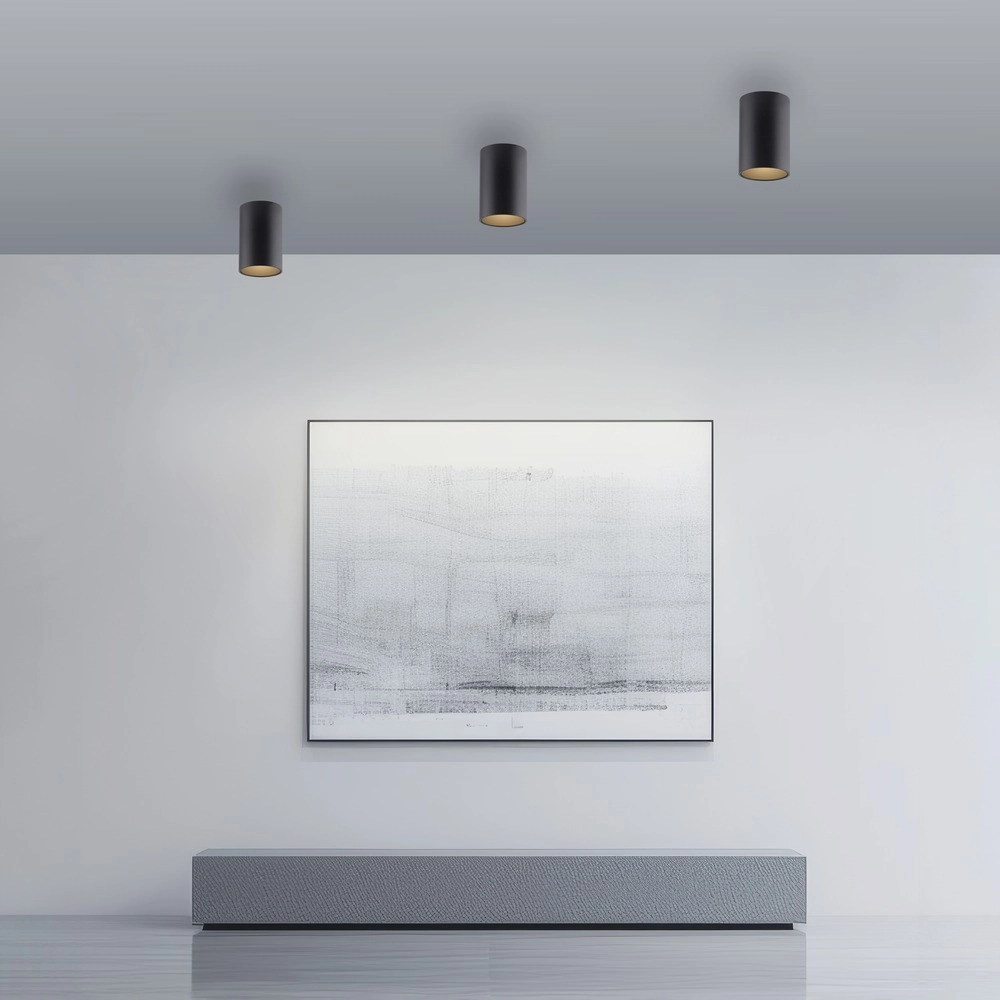 Ceiling surface-mounted spot Pure Point Ø 6cm - black pearl Paul Neuhaus 4012248395677