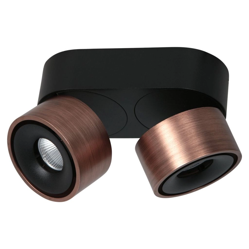 Sleek surface-mounted spot Fez Double bronze Steinhauer 8712746187250