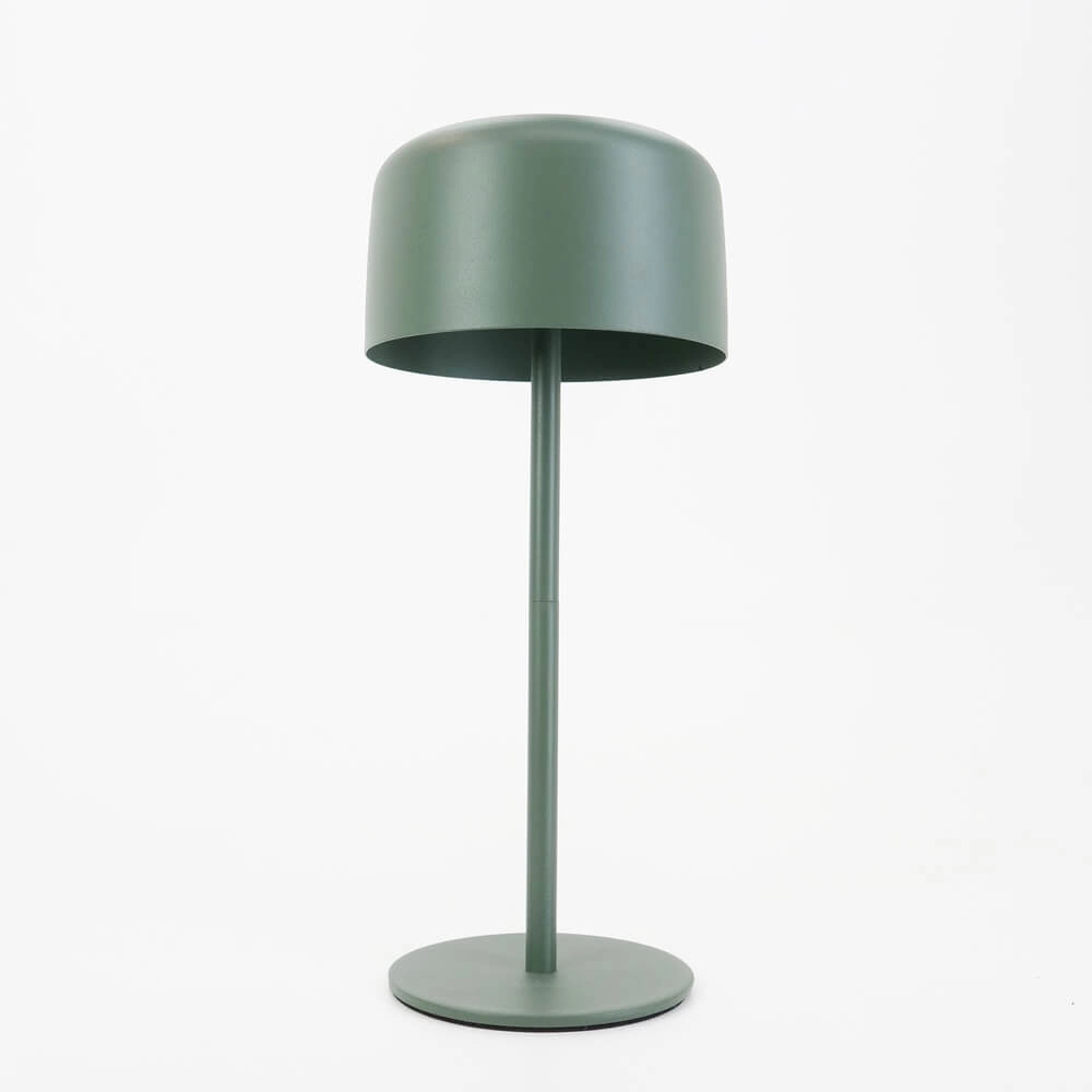 Sleek table lamp Roccanova Solar Green with USB Eglo 9008606355051