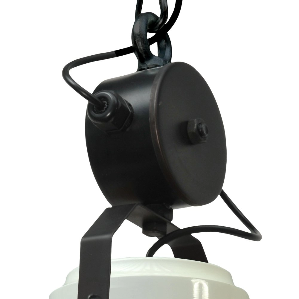 Pendant lamp Industria 44 Bud Retro Masterlight 8718121232737