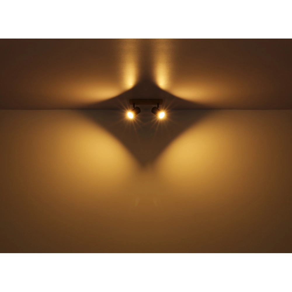 Ceiling lamp 2-lights Robby wood Globo 9007371430529