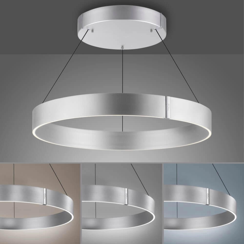 Round hanging lamp Pure E-Clipse aluminum Ø 70cm Paul Neuhaus 4012248372364