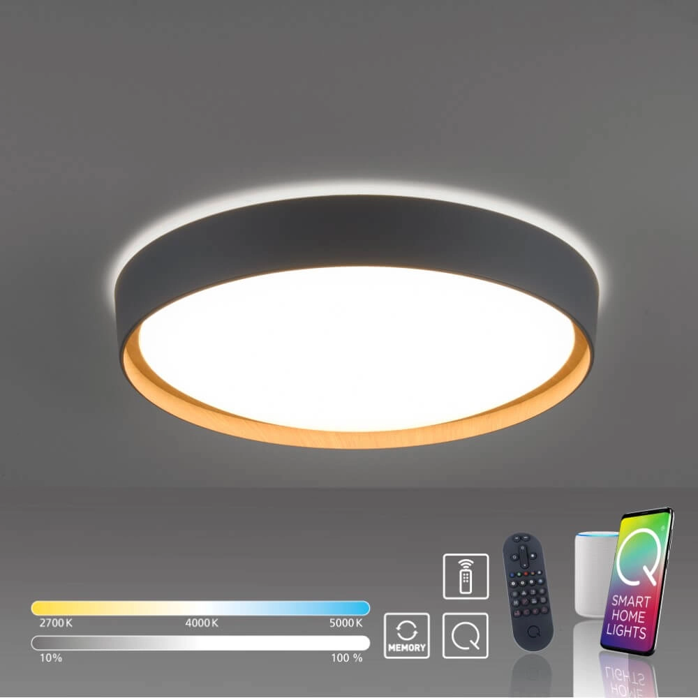 Round ceiling lamp Q-Emilia grey Paul Neuhaus 4012248366530