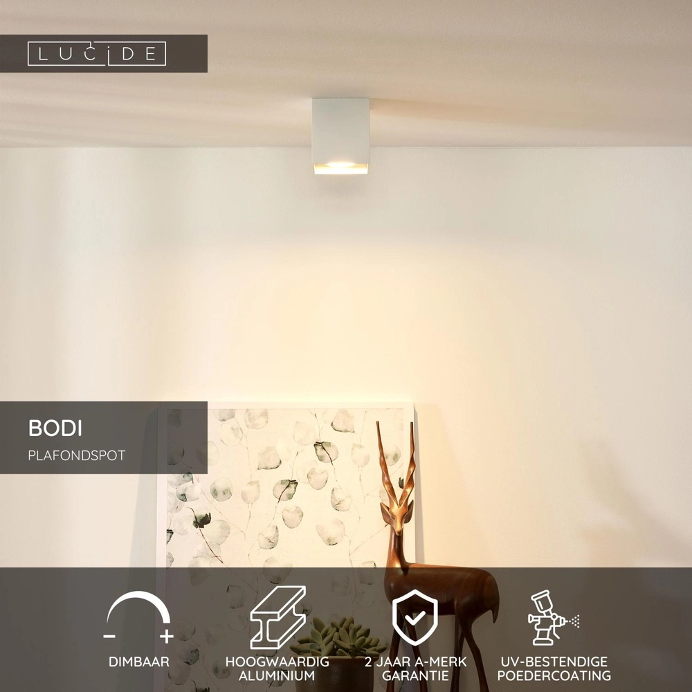 Ceiling spotlight Bodi square white Lucide 5411212091574
