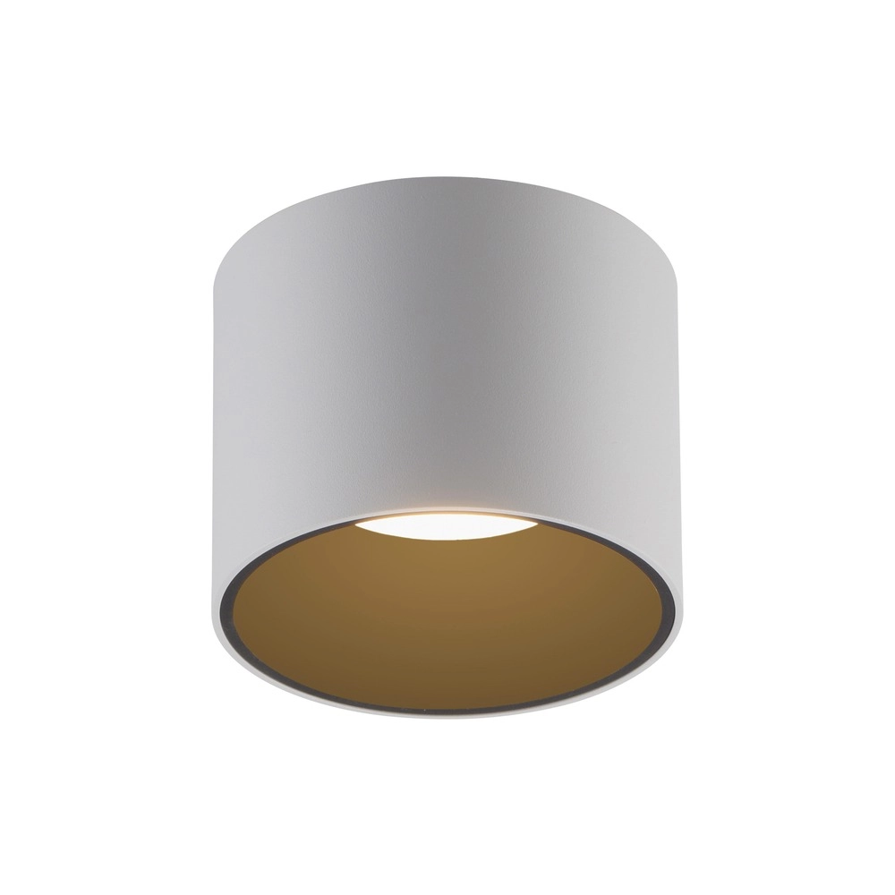 Ceiling surface-mounted spot Pure Point Ø 11cm - white Paul Neuhaus 4012248395639