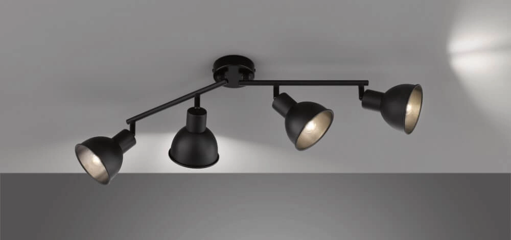 Adjustable ceiling spotlight Speedy Matt black Fischer & Honsel 4003694212489
