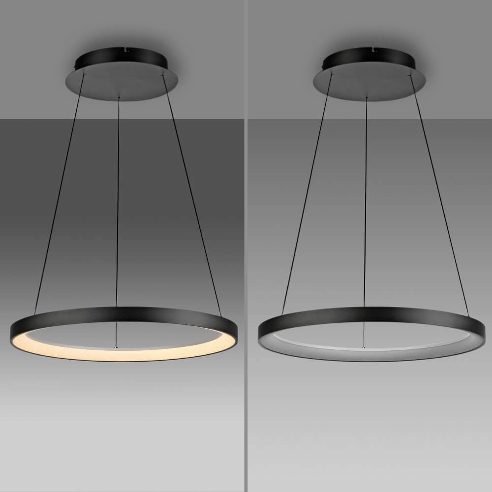 Round pendant lamp Hoop black Paul Neuhaus 4012248384695