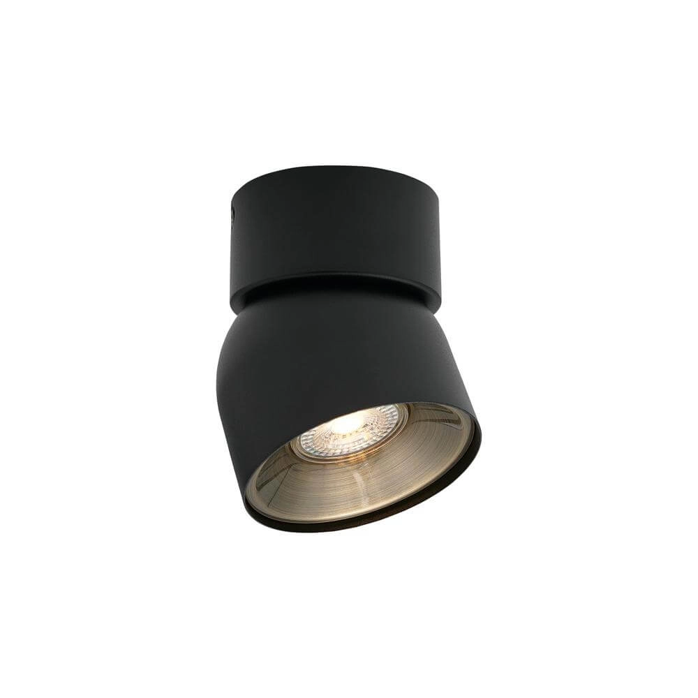 Black spot Pitcher Orientable