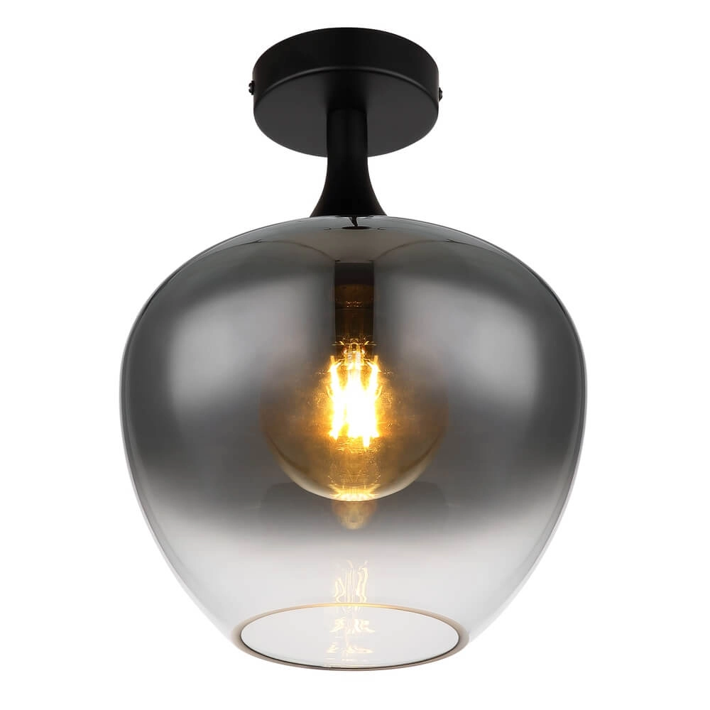 Black ceiling lamp Maxy single Ø 24cm