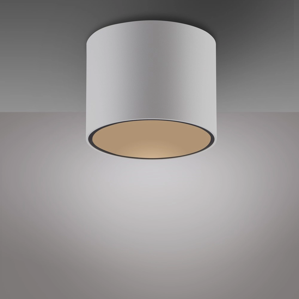 Ceiling surface-mounted spot Pure Point Ø 11cm - white Paul Neuhaus 4012248395639