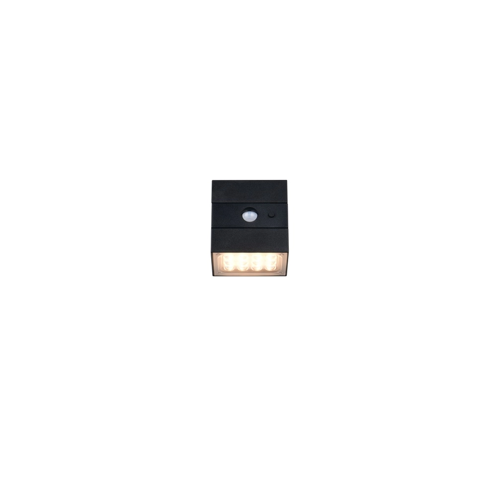 Wall lamp Talca Black Trio 4017807691658