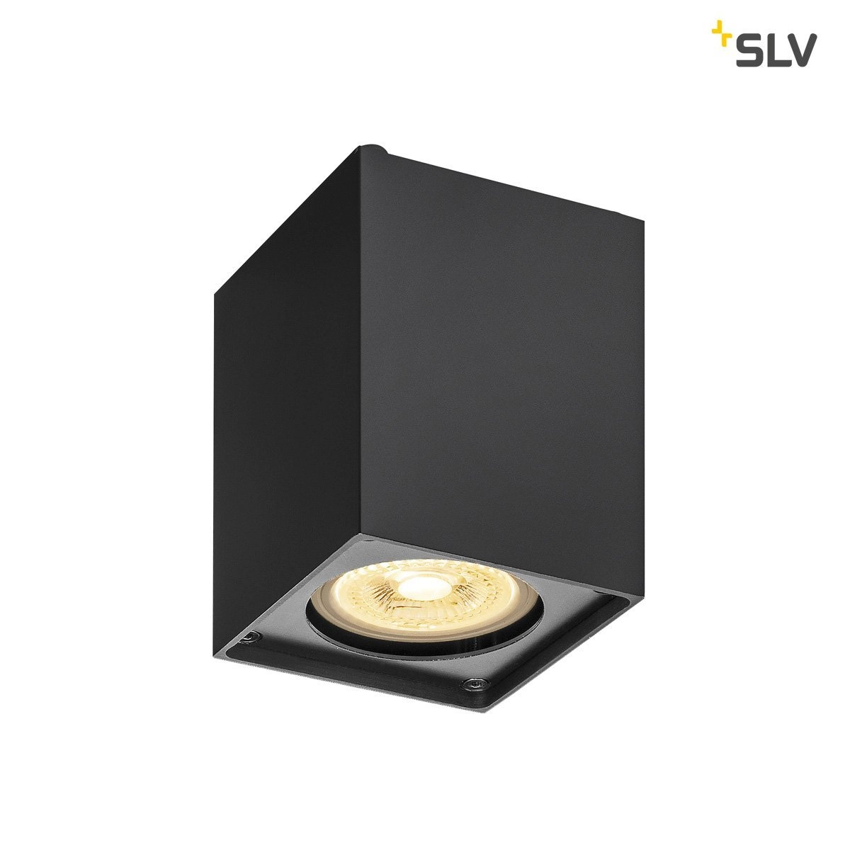 Ceiling lamp Altra Dice