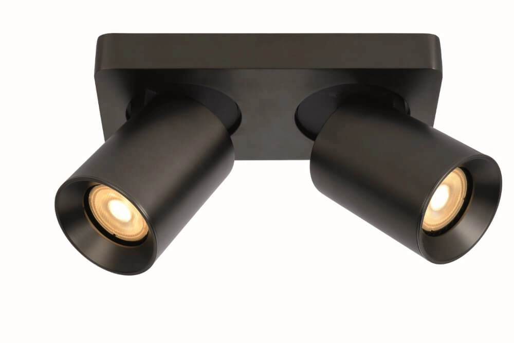 Directional surface-mounted spotlight Megano double anthracite