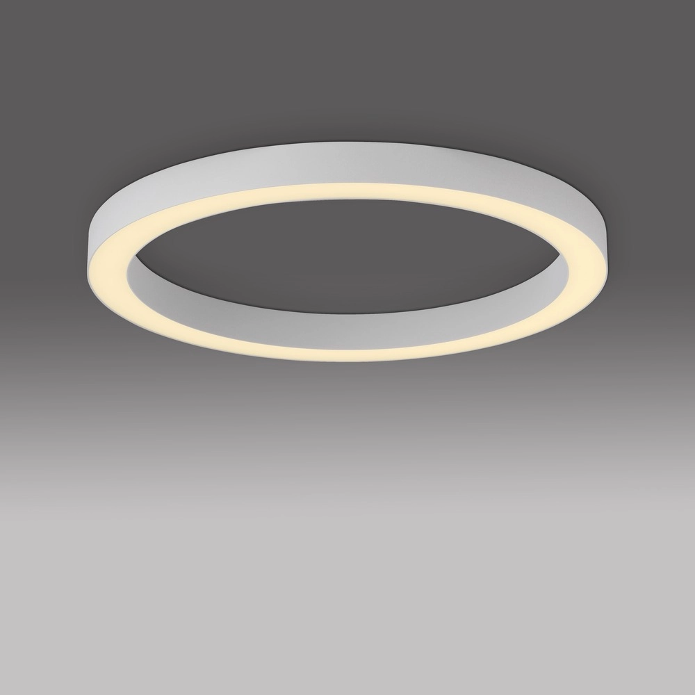 Sleek led ceiling lamp Pure Lines Round Ø 50cm - white Paul Neuhaus 4012248395806
