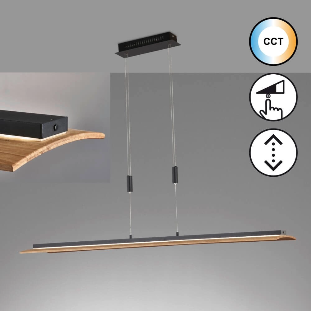 Hanging lamp Shine-Wood black Fischer & Honsel 4003694610773