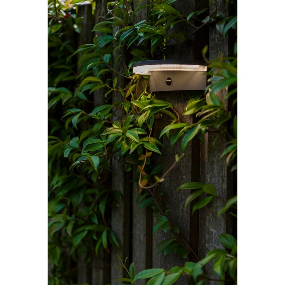 Outdoor Sensor Lamp Vyzor Solar powered Lutec 6939412016320