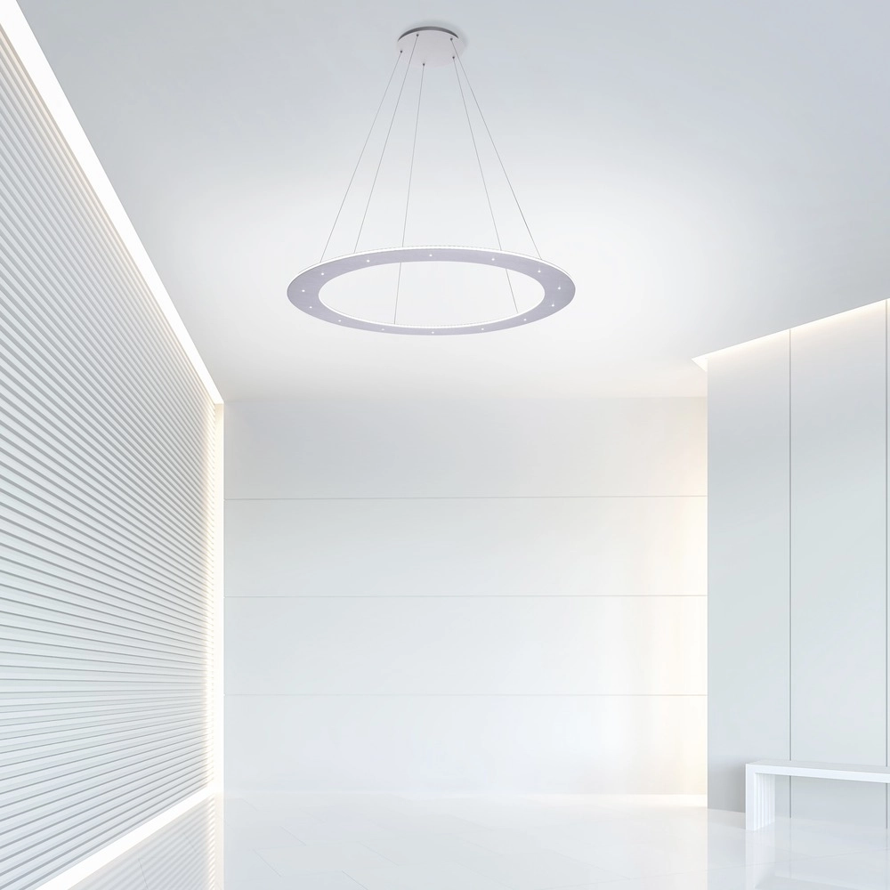 Led pendant light Pure Cosmo brushed metal - Ø 75cm Paul Neuhaus 4012248350751