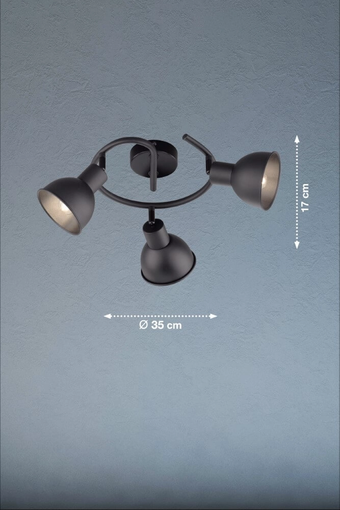 Matt black ceiling spotlight Speedy Fischer & Honsel 4003694212472
