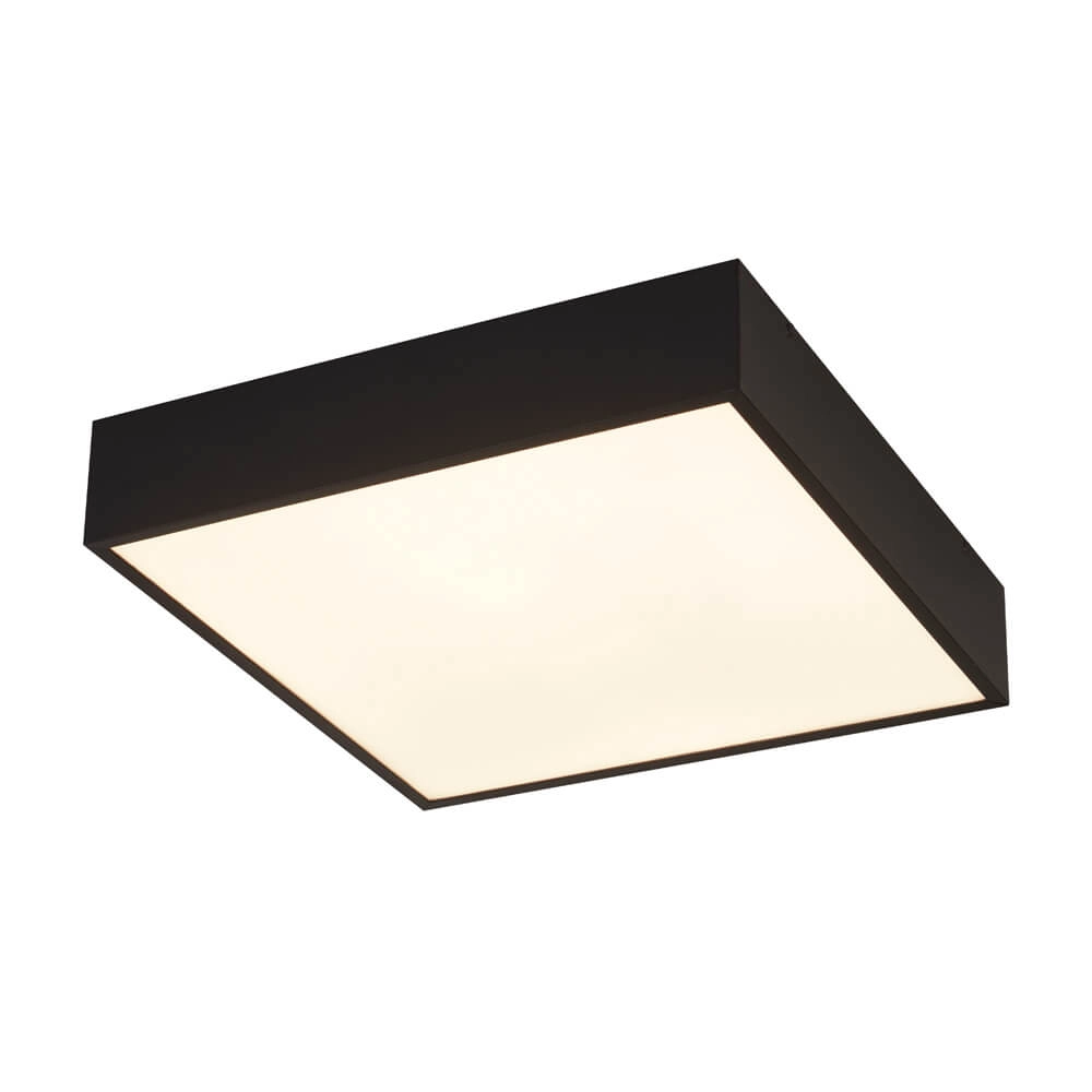 Bathroom ceiling lamp Zeus square black
