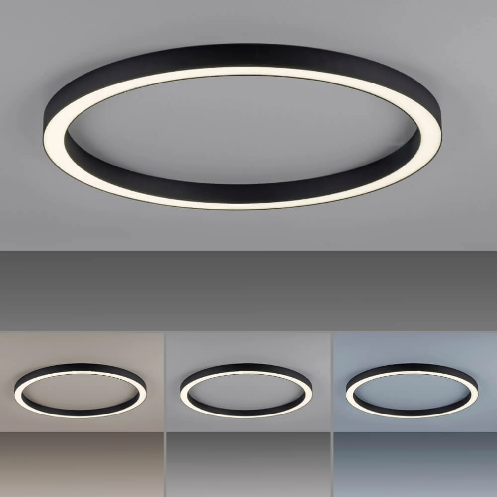 Round floor lamp Pure Lines Round Ø 70cm anthracite Paul Neuhaus 4012248373521