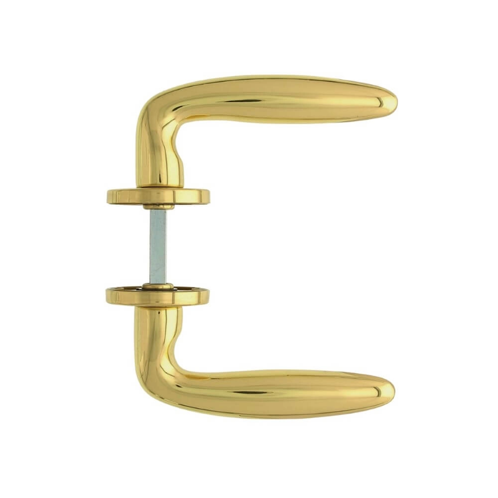 Door handle Sigaar brass lacquered Intersteel 8714186068243
