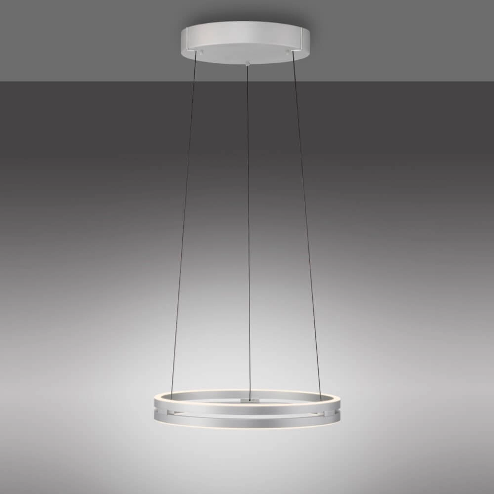 Sleek hanging lamp Pure E-Loop aluminum Paul Neuhaus 4012248372272