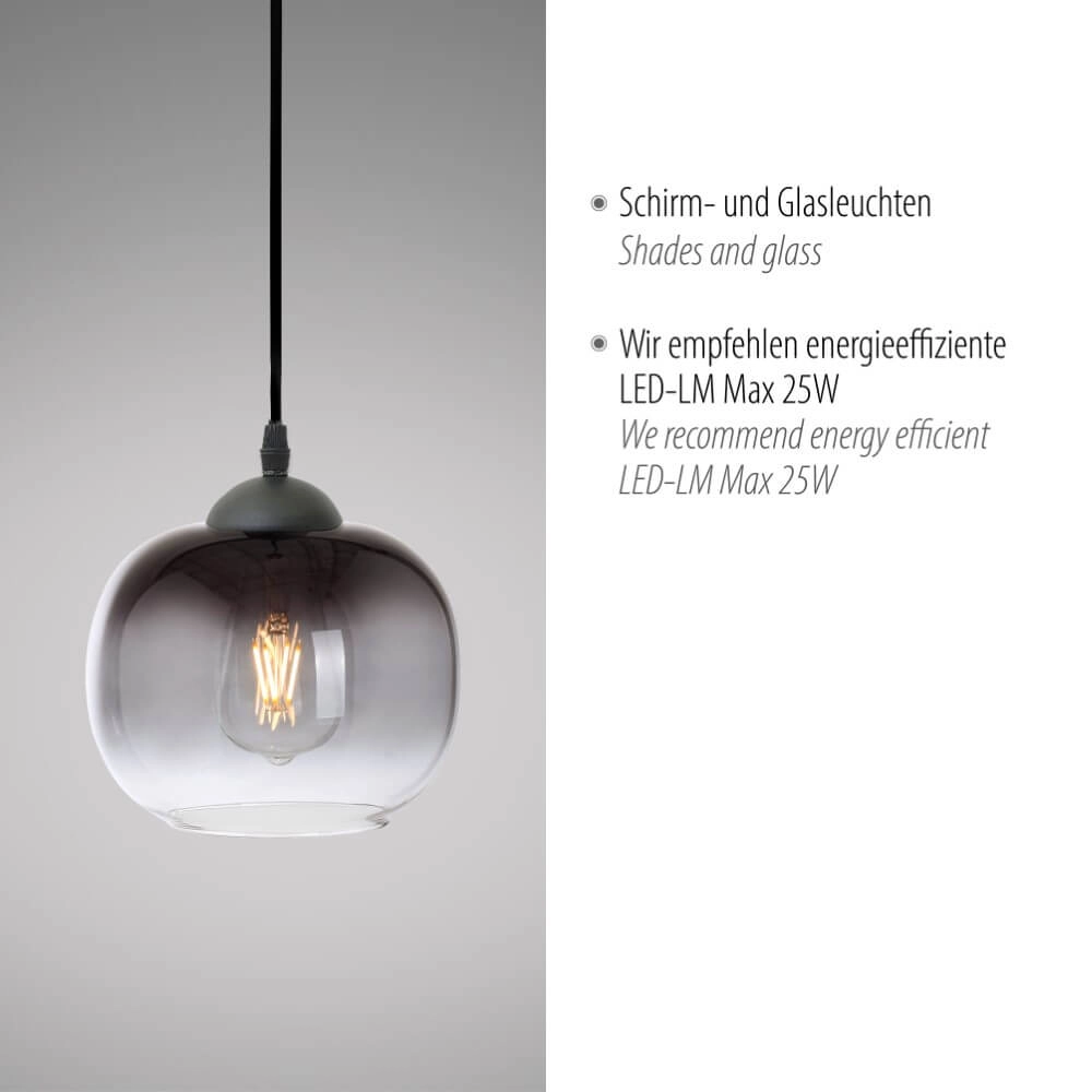 Black pendant lamp Zea ankle Just Light 4043689993740