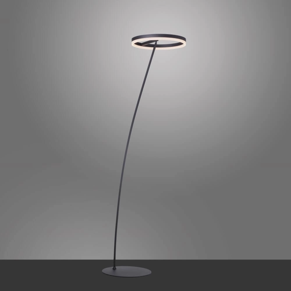 Anthracite floor lamp Titus modern Paul Neuhaus 4012248357637