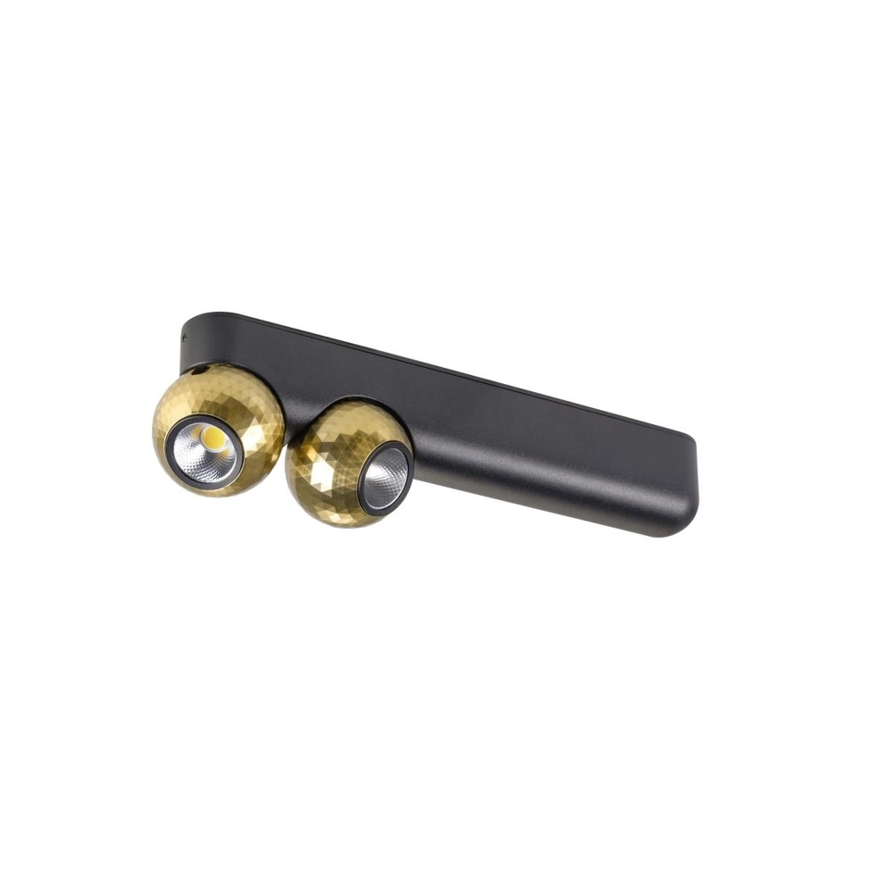 Ceiling lamp Dysko Black with Gold Double SLV 4024163317184