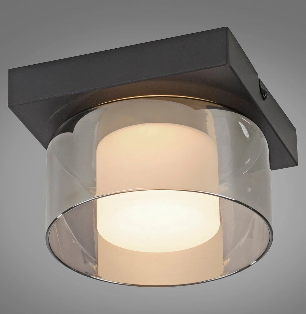 Black ceiling lamp Rika 1-light black Paul Neuhaus 4012248385012