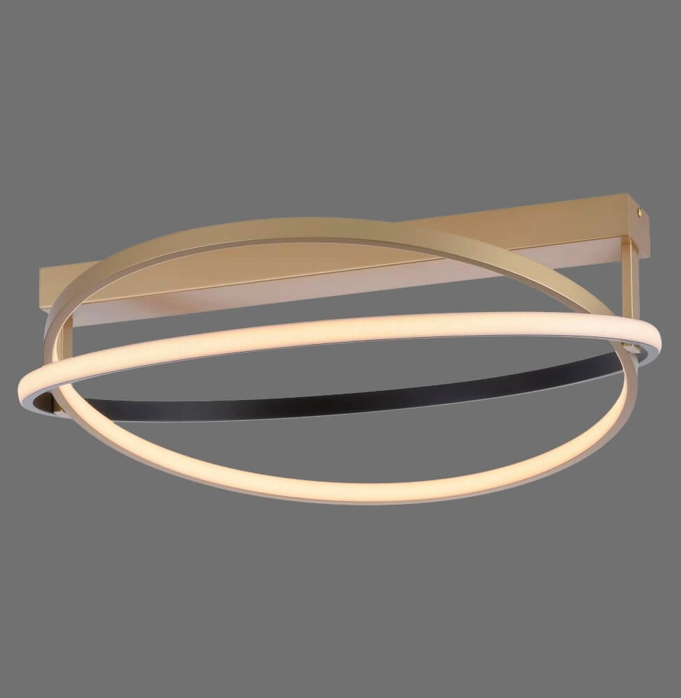 Ceiling lamp Q-Beluga brass Paul Neuhaus 4012248373606
