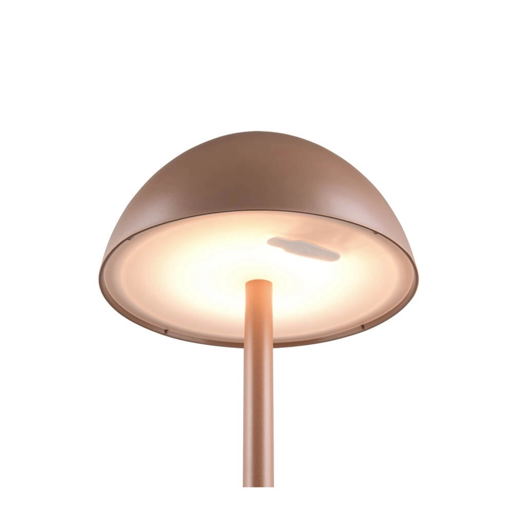 Rechargeable table lamp Ricardo coffee brown Trio 4017807633900