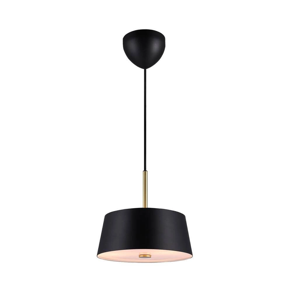Sleek pendant lamp Clasi black Ø 29cm