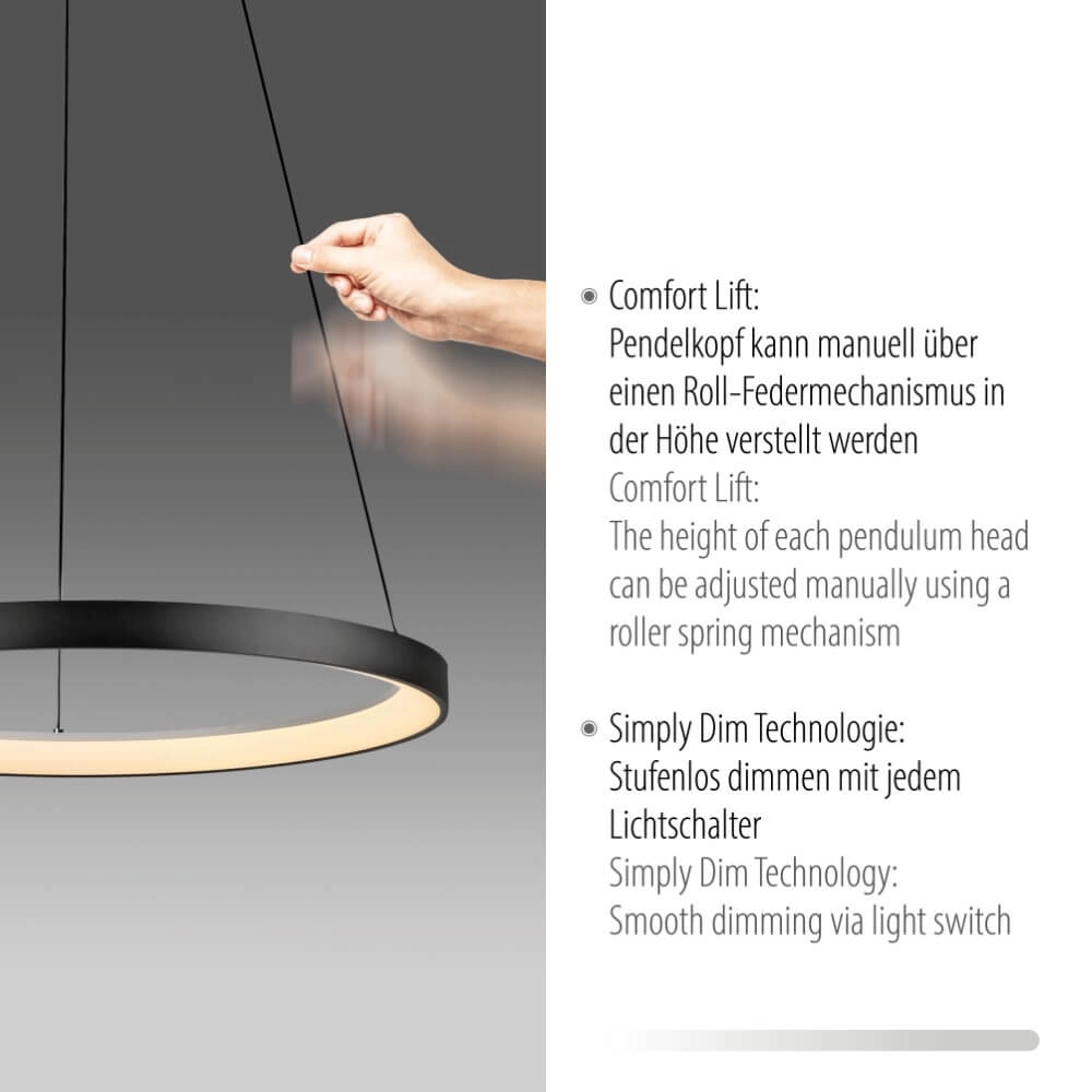 Round pendant lamp Hoop black Paul Neuhaus 4012248384695