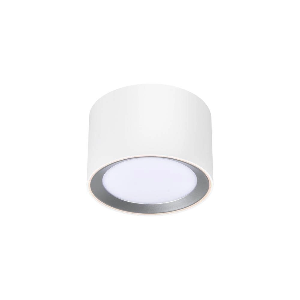Surface-mounted spot Landon white Nordlux 5704924007309