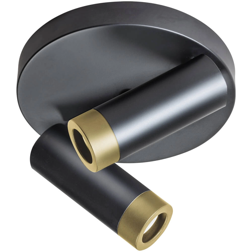 Double surface-mounted spotlight Miller black