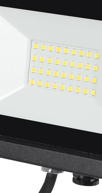 Outdoor LED floodlight Assist 30W - 2700 lm Reled 8719497494521