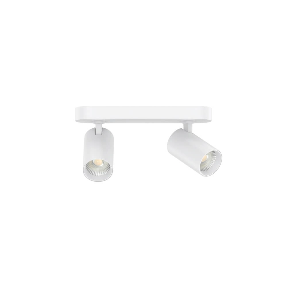 Led surface-mounted spot Tevo double - white - 2700K