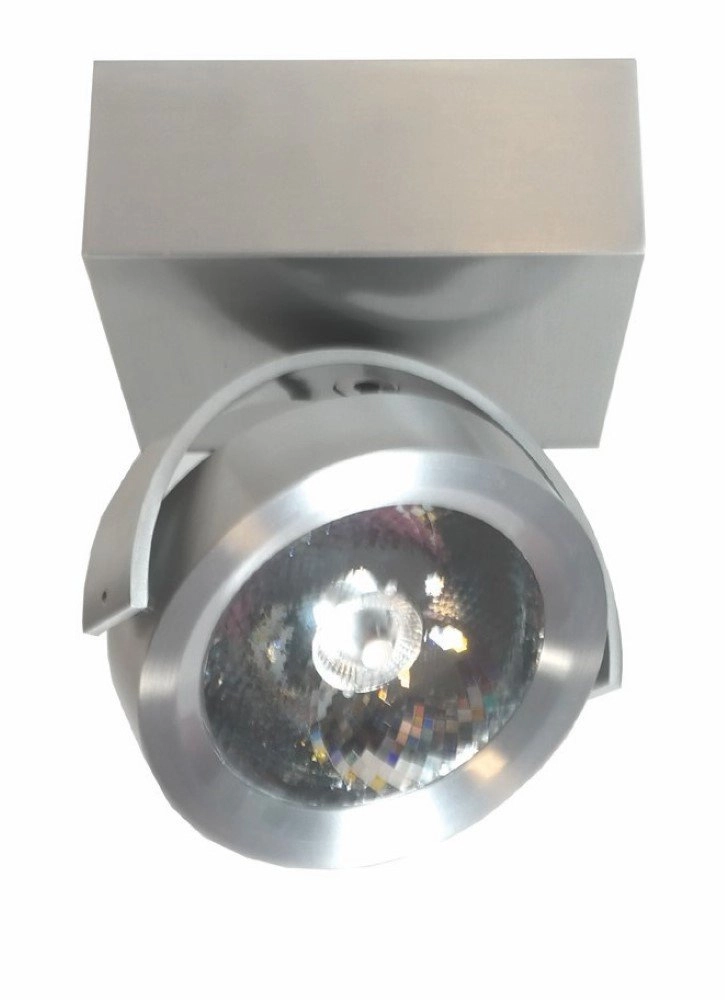 Surface-mounted spot Dutchess brushed metal