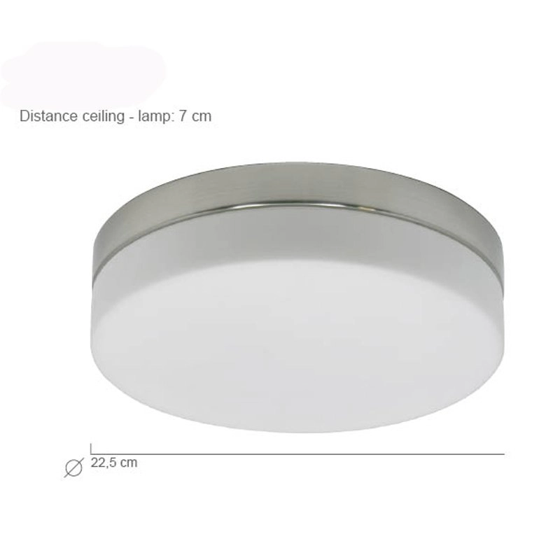LED flush ceiling light Ceiling 22cm 2950K metal gray Steinhauer 8712746115284