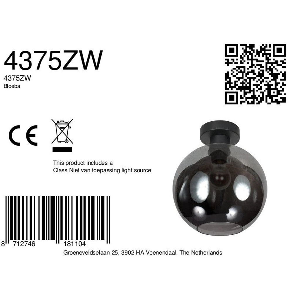 Ceiling lamp Bloeba sphere smoke glass Ø 25cm Steinhauer 8712746181104