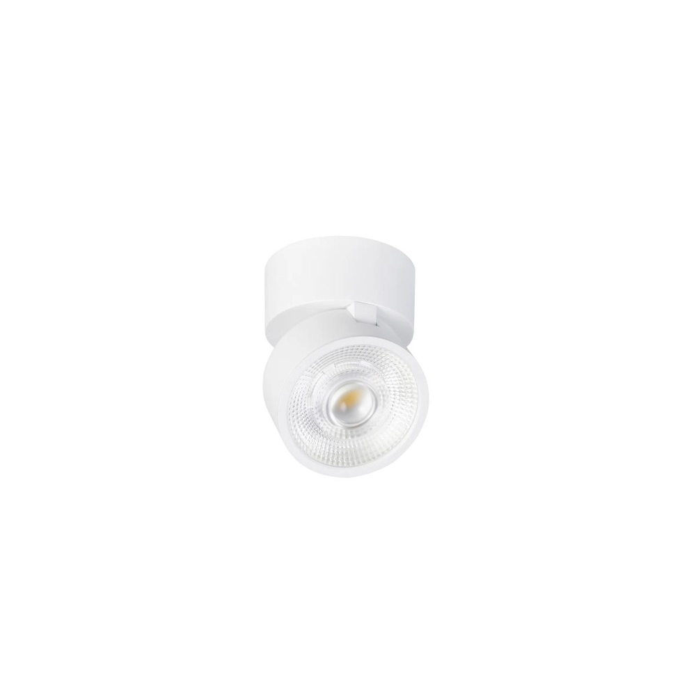 Surface-mounted spot Kalu 2.0 single white 2700K SLV 4024163317641