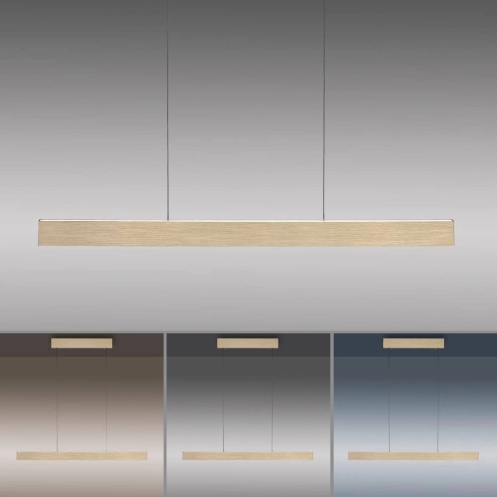 Design hanging lamp Pure E-Motion brass Paul Neuhaus 4012248372913