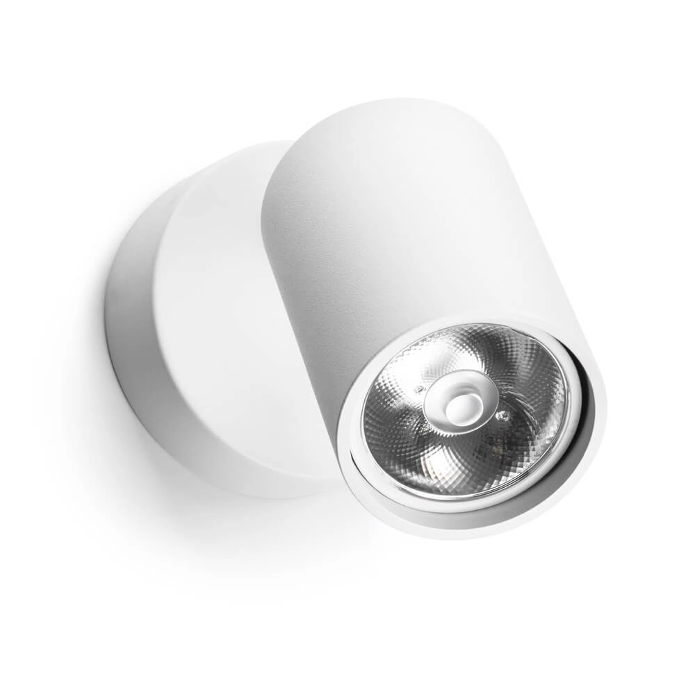 Single surface-mounted spotlight Tevo white Lyora 4255805301029