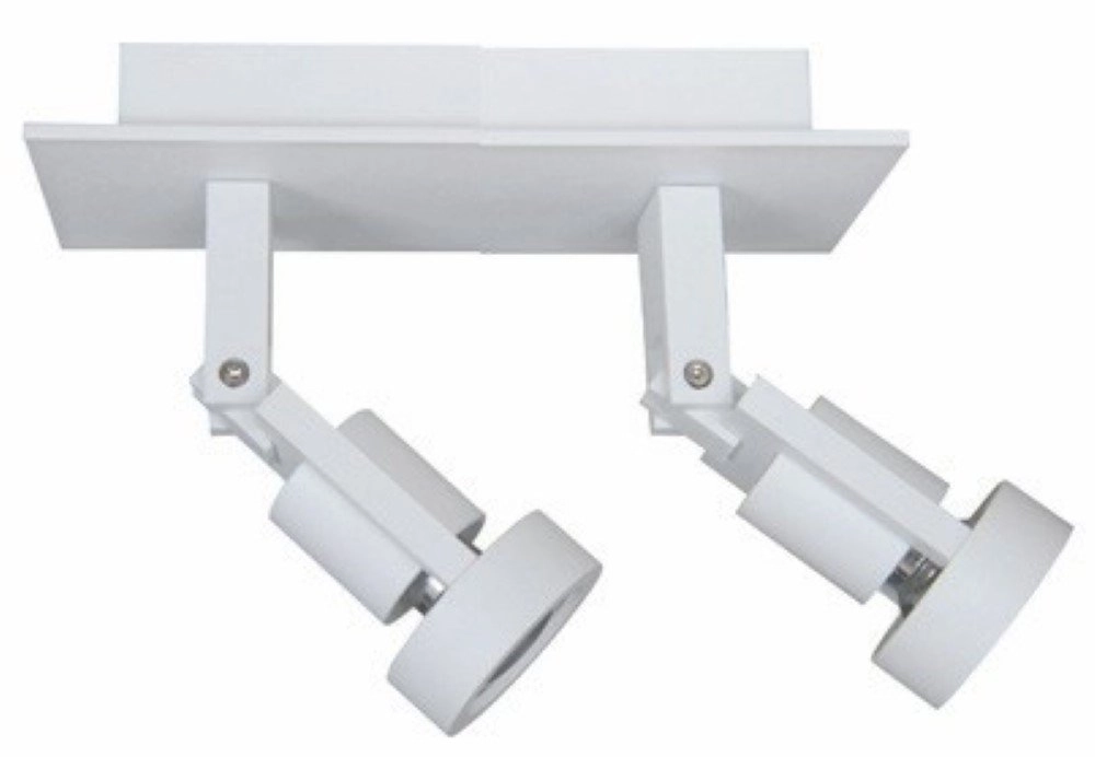 Double surface-mounted spot Tech