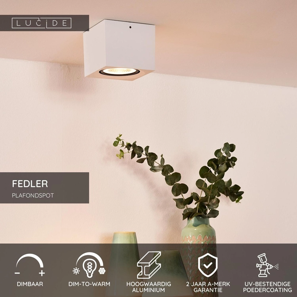 Ceiling spotlight Fedler GU10 ES111 white Lucide 5411212092168