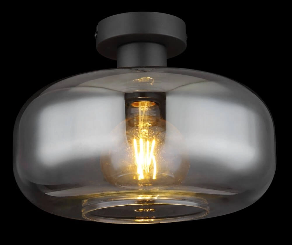 Black ceiling lamp Giuseppe smoke glass Globo 9007371432226