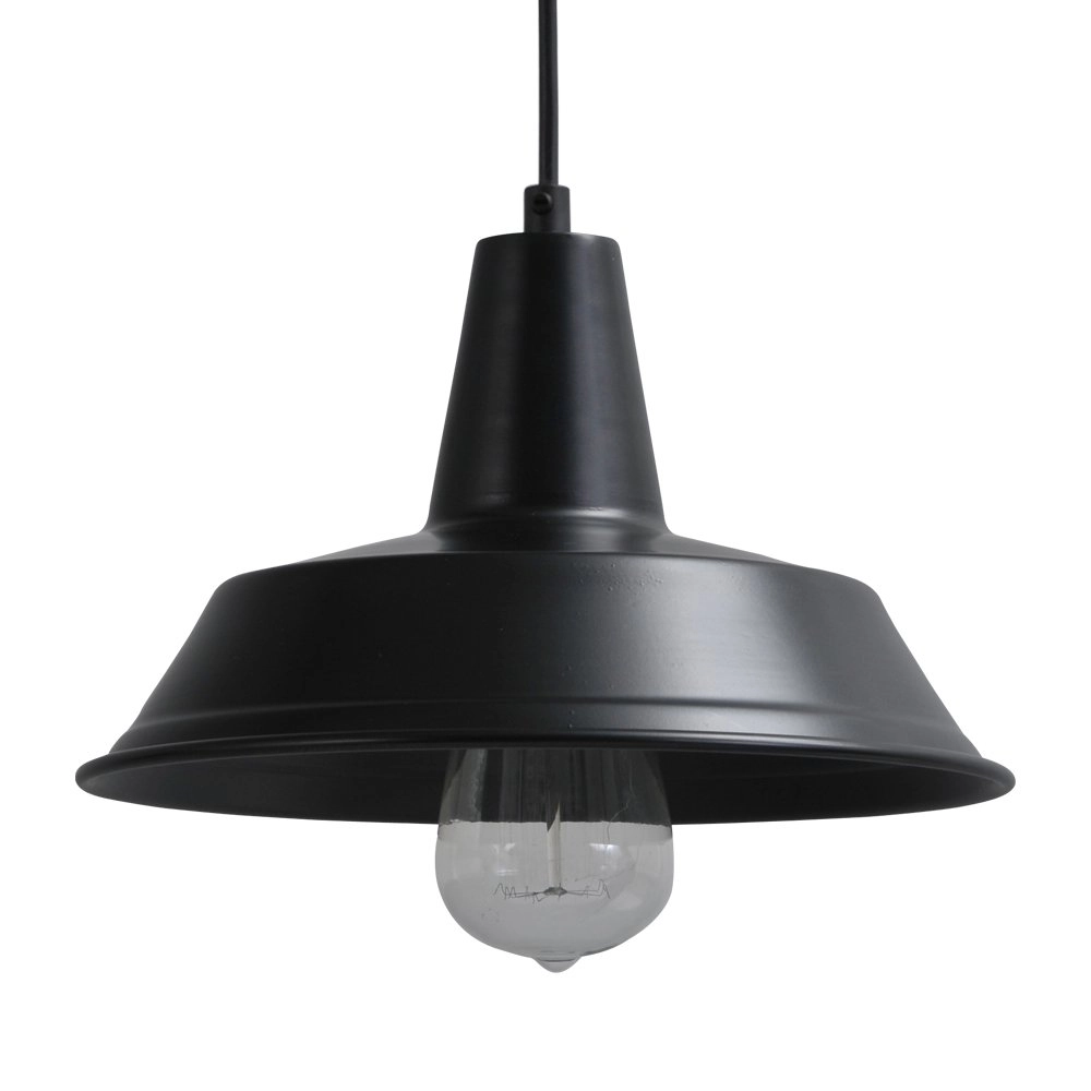 Pendant lamp Industria 25